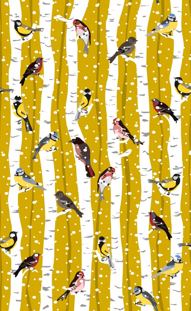 Joyful Winter Birds On Birch by Annick — canvas wall art