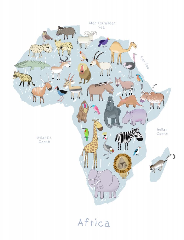 Playful African Animals by Carla Daly — canvas wall art