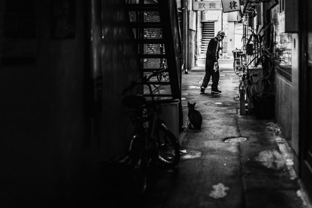 Man and Alley Cat by Haruyo Sakamoto — canvas wall art