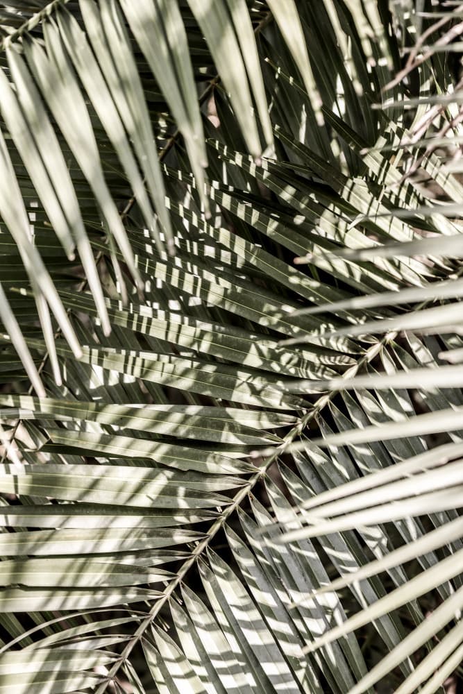 Graphic Breeze by Shot by Clint — canvas wall art