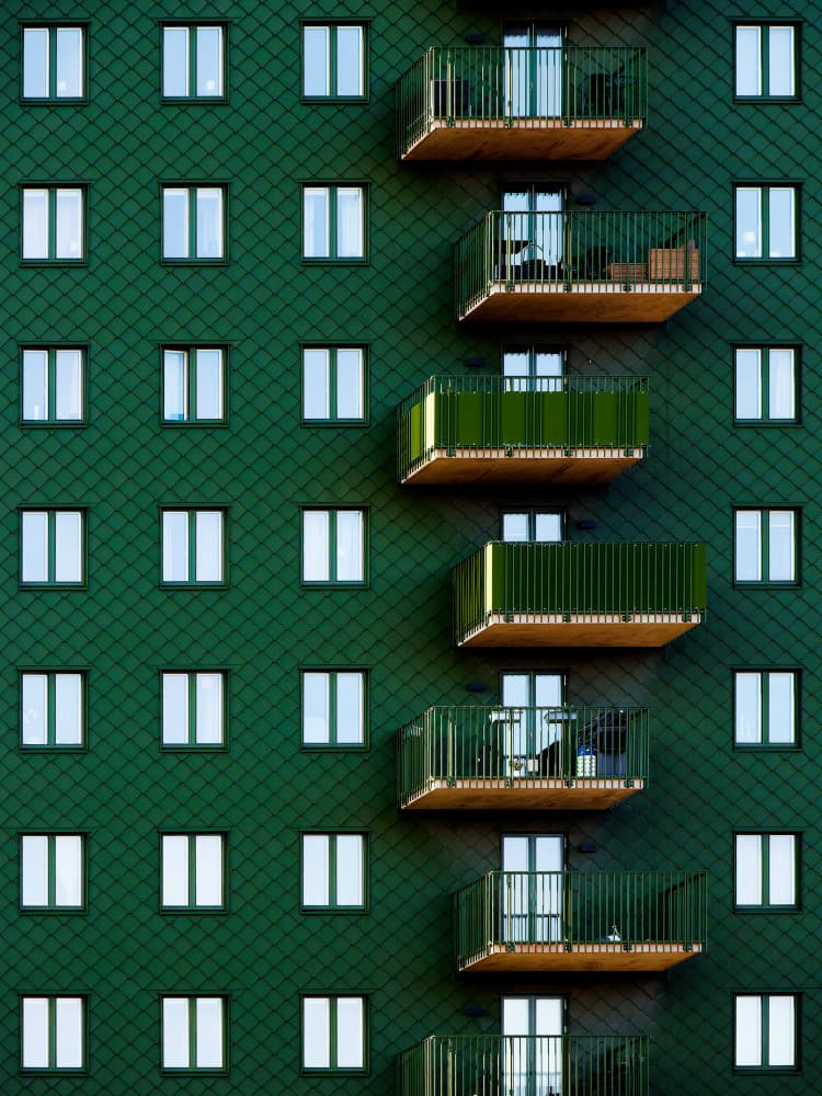 snaky by Marius Surleac — canvas wall art