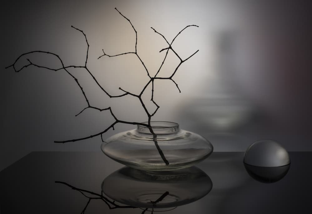 Modern Branches and Glass by Evgeniy Popov — canvas wall art