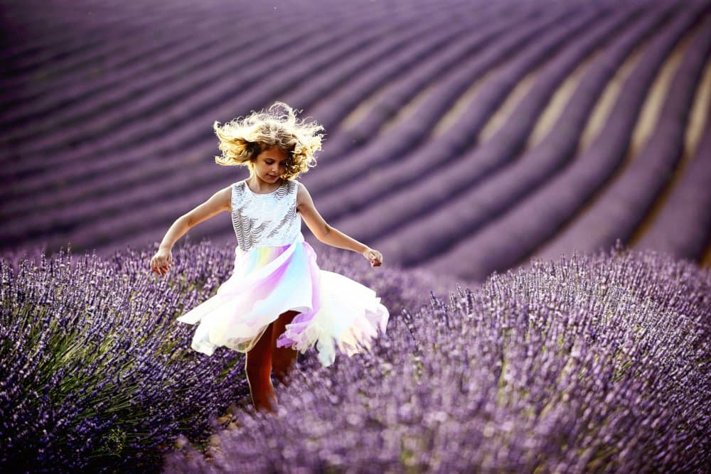 Lavender Field Dance by Gina Buliga — canvas wall art