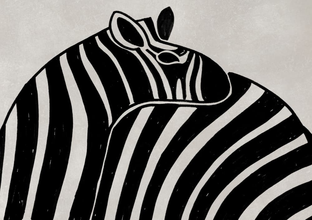 Zebra Love by Rosana Laiz Blursbyai — canvas wall art