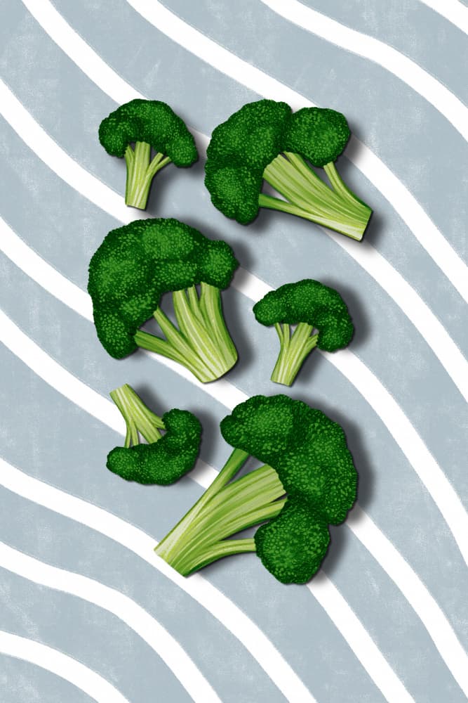 Vibrant Broccoli Florets by EMELIEmaria — canvas wall art