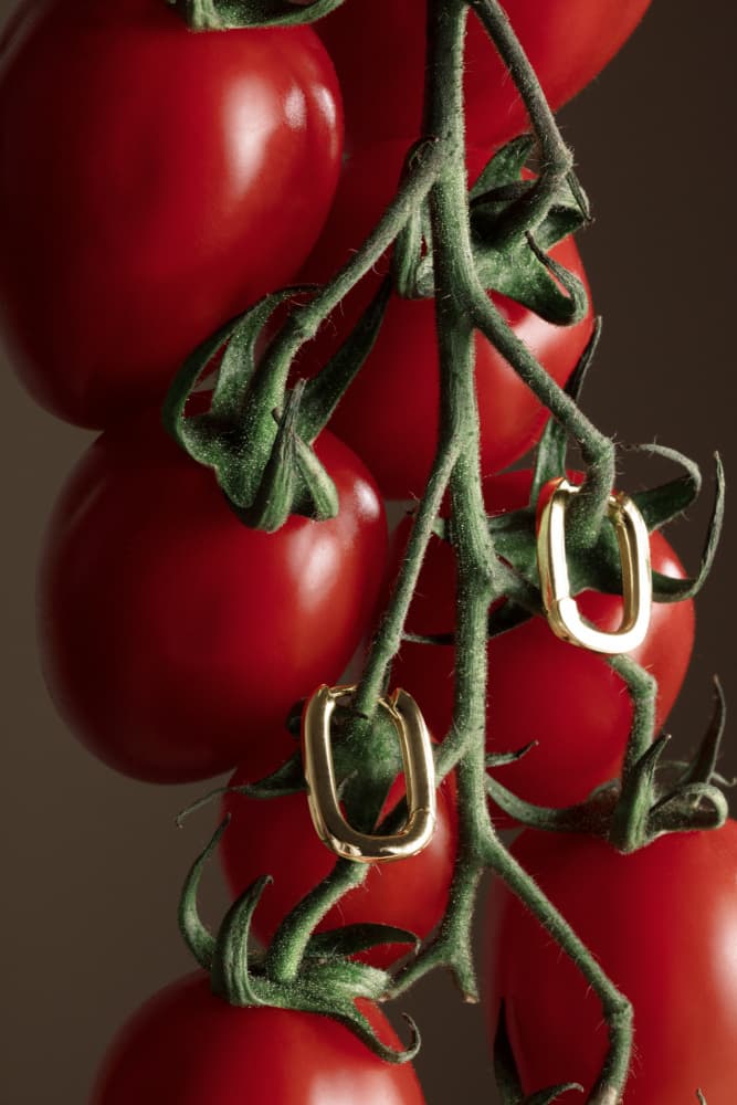 Red Tomatoes Golden Earrings by Julia Ramiro — canvas wall art