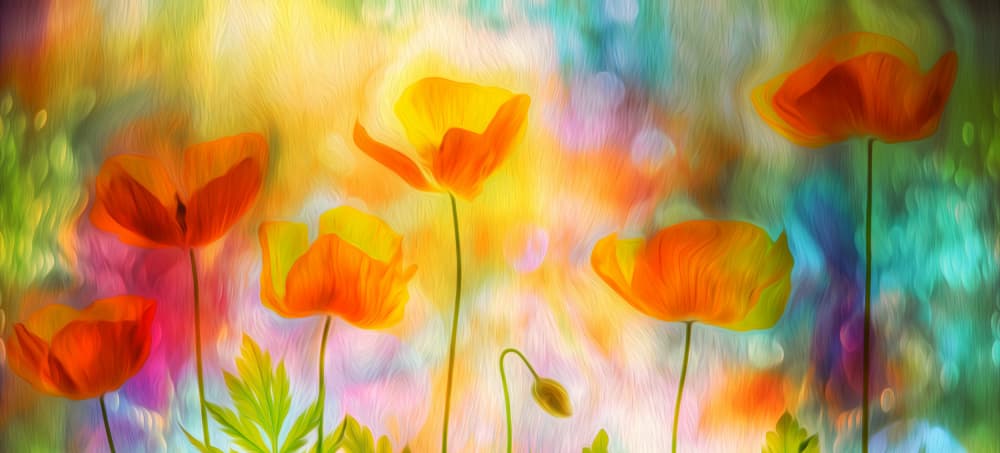Glowing Poppies Dream by Hilda van der Lee — canvas wall art