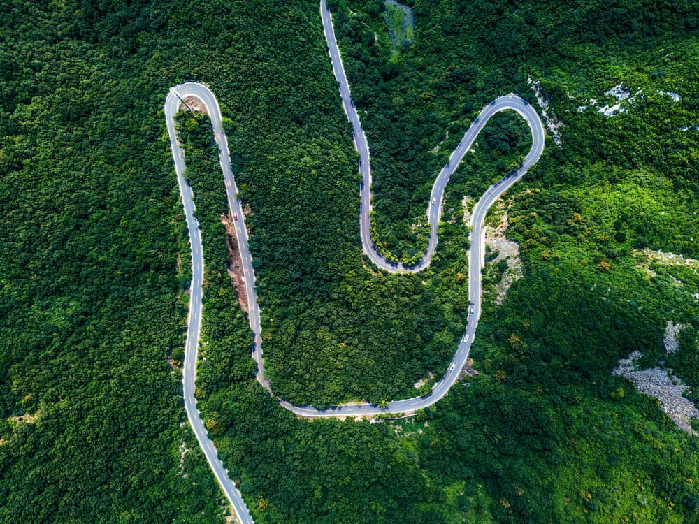 Winding Forest Road by Zhou Chengzhou — canvas wall art