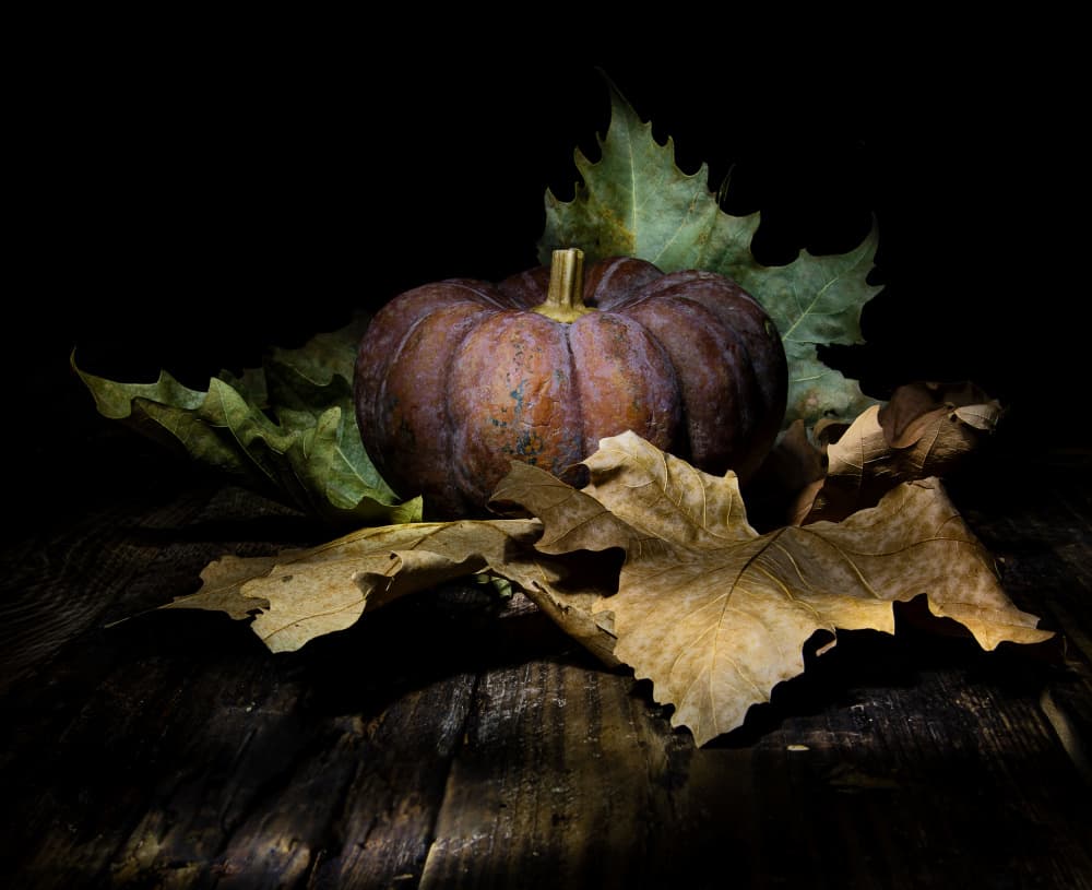 Dark Autumn Pumpkin by Felice Angelino — canvas wall art