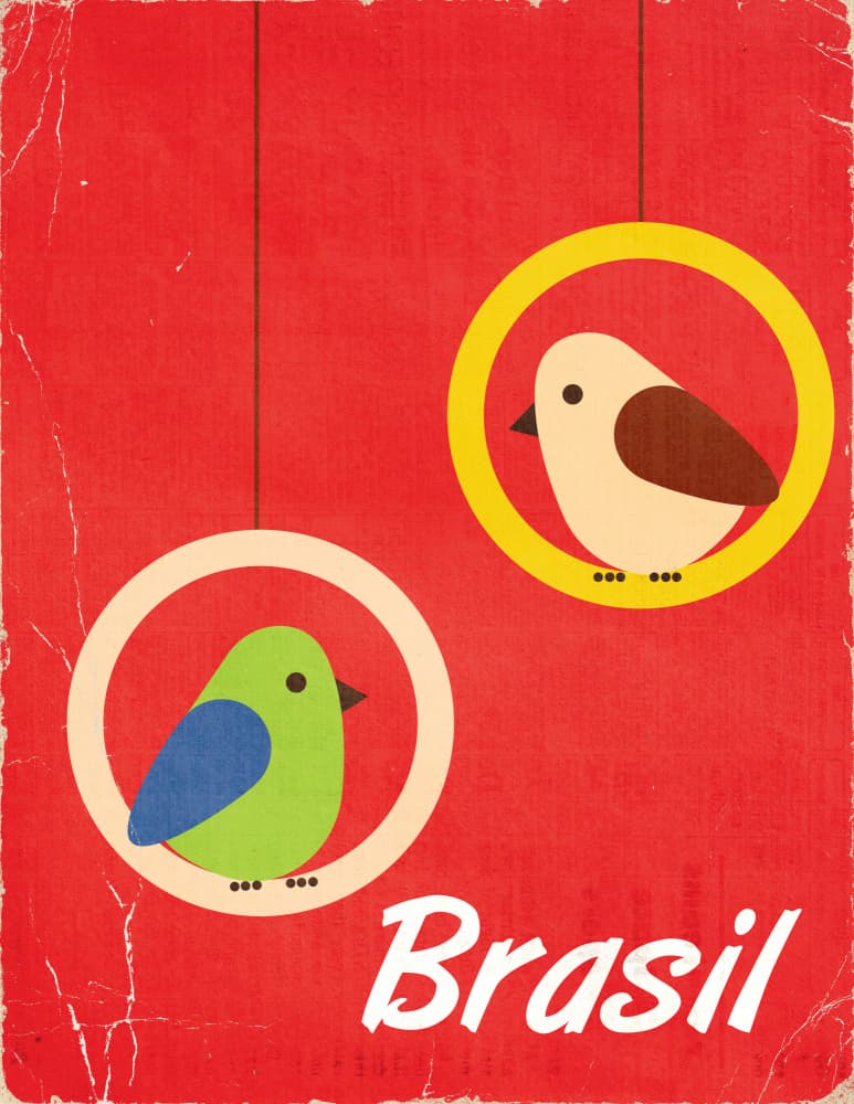 Whimsical Brasil Birds by Nicholas — canvas wall art