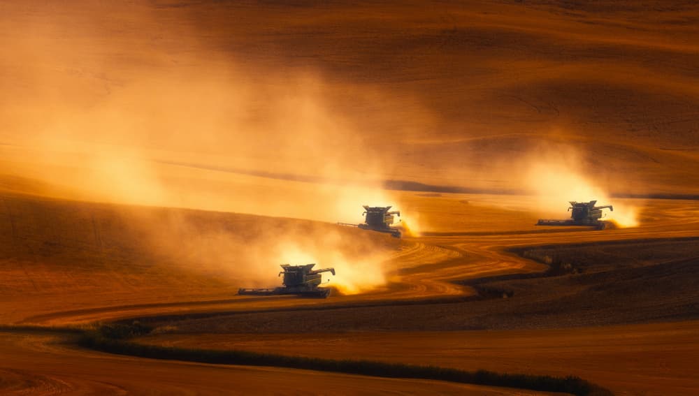 Harvesting Golden Fields by James Lu — canvas wall art