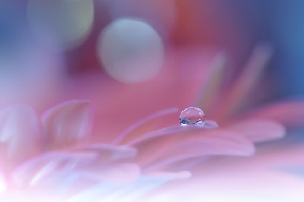 Delicate Water Droplet by Juliana Nan — canvas wall art