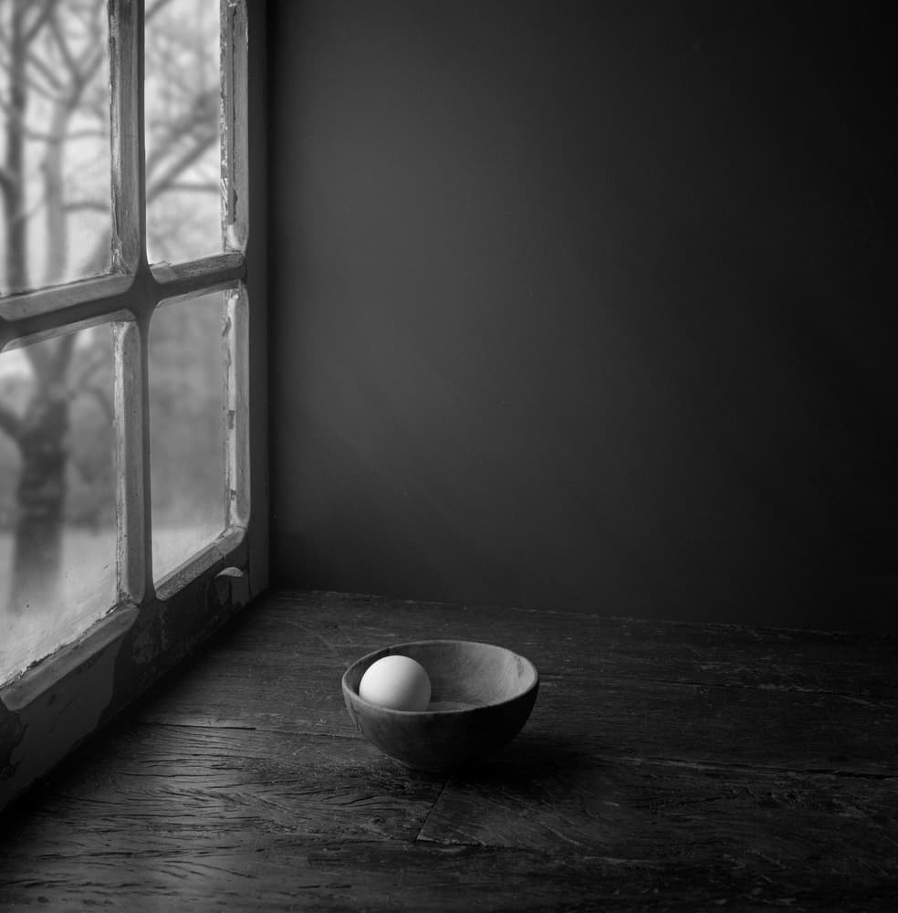 Egg In Window Light by Luiz Laercio — canvas wall art