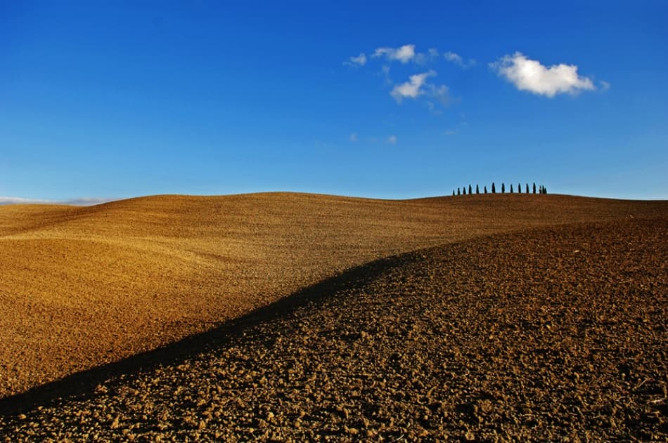 Tuscan Cypress Hills by Jure Kravanja — canvas wall art