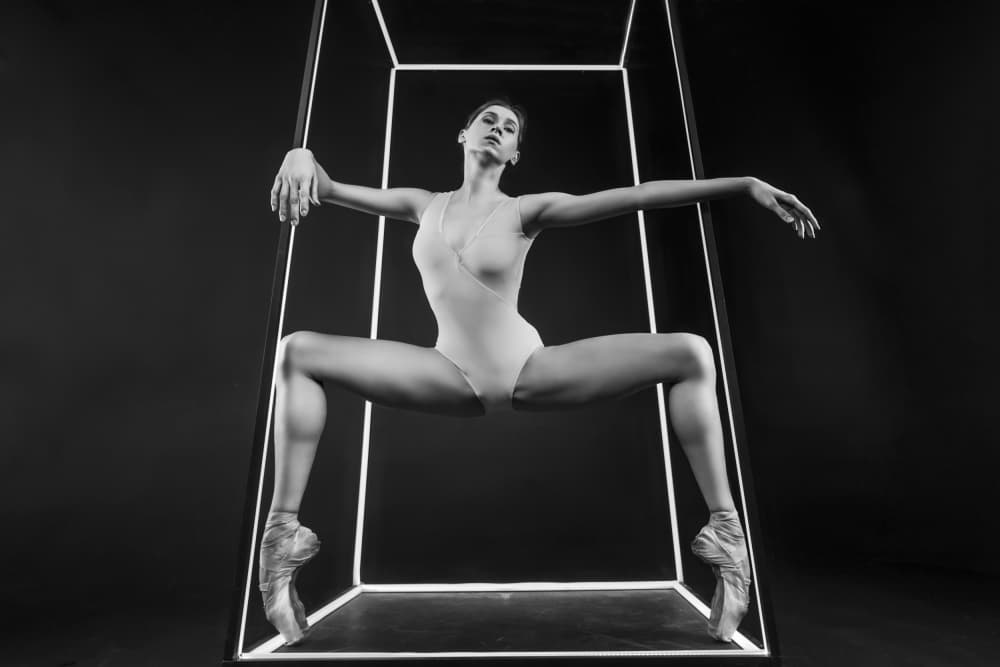 The Illusion of Freedom series by Alexandr — canvas wall art