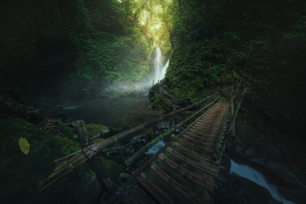 Jungle Waterfall Bridge by Juan Pablo de Miguel — canvas wall art