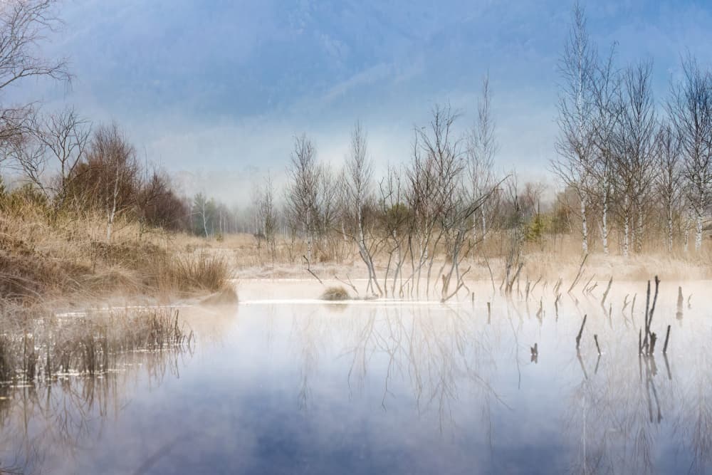 Misty Winter Pond by Ulrike Eisenmann — canvas wall art