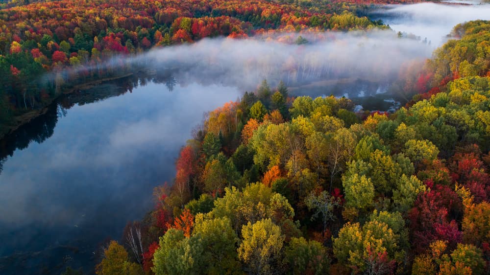 Vibrant Autumn Lake Mist by John Fan — canvas wall art