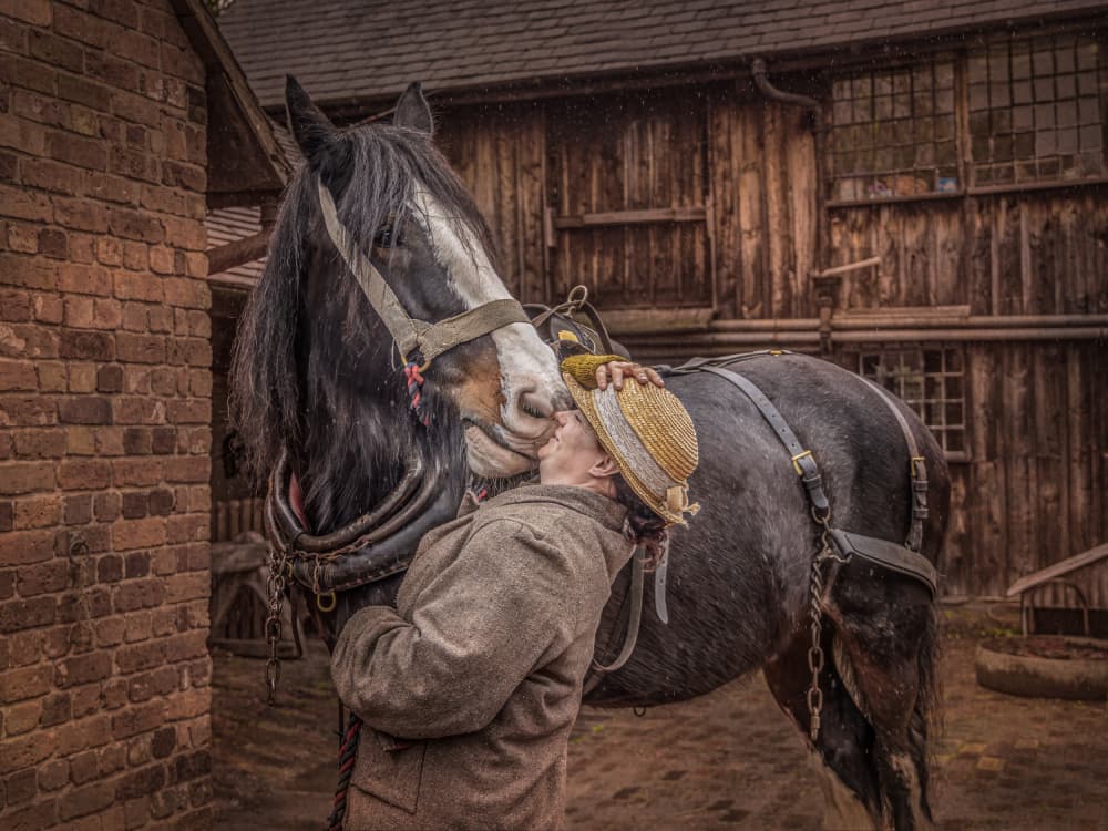 Gentle Horse Kiss by David Bennion — canvas wall art
