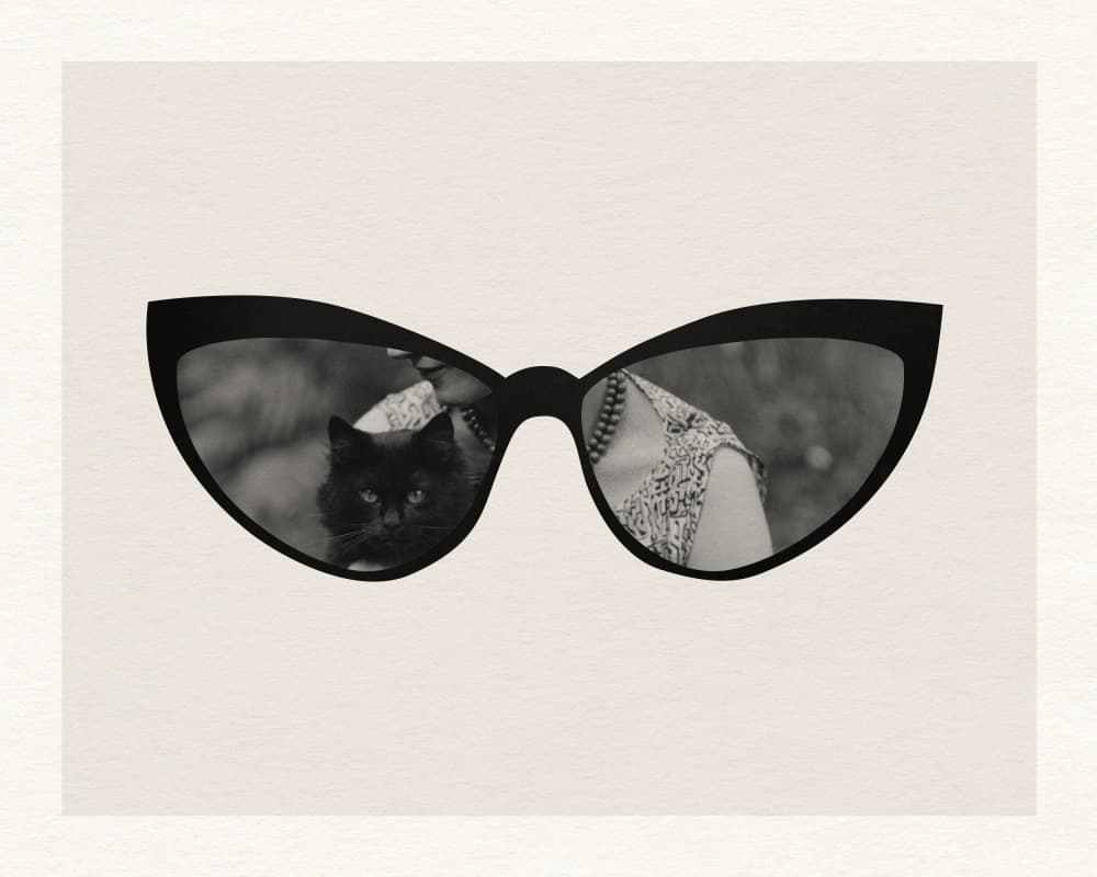 Black Cat Eye Reflection by Wild Violets — canvas wall art