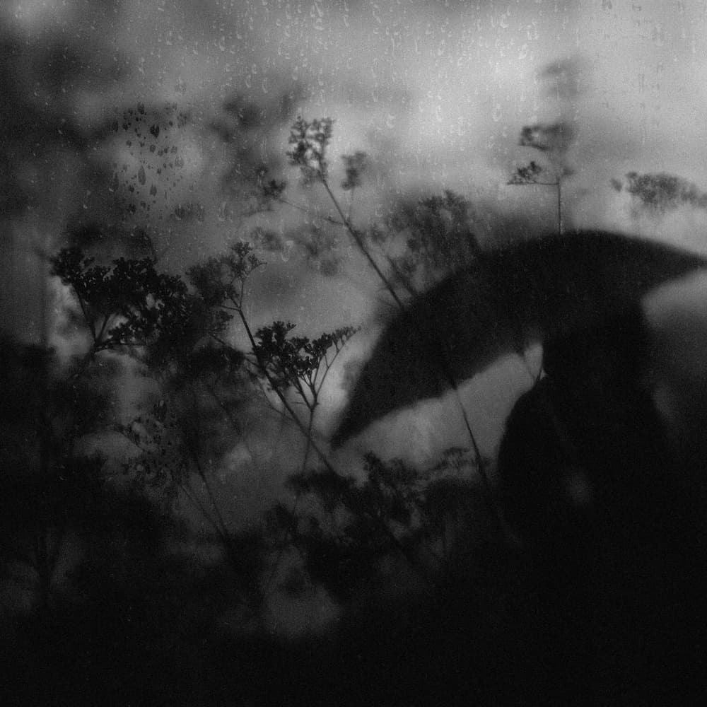 Moody Rainy Umbrella by Teruhiko Tsuchida — canvas wall art