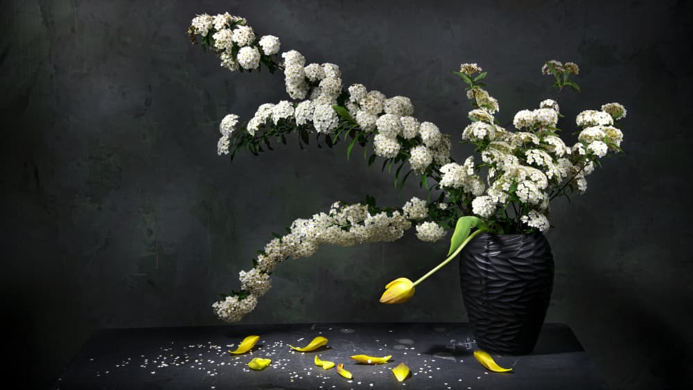 Elegant Floral Still Life by Felice Angelino — canvas wall art