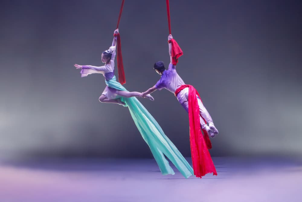 Elegant Aerial Acrobats by Shin Woo Ryu — canvas wall art