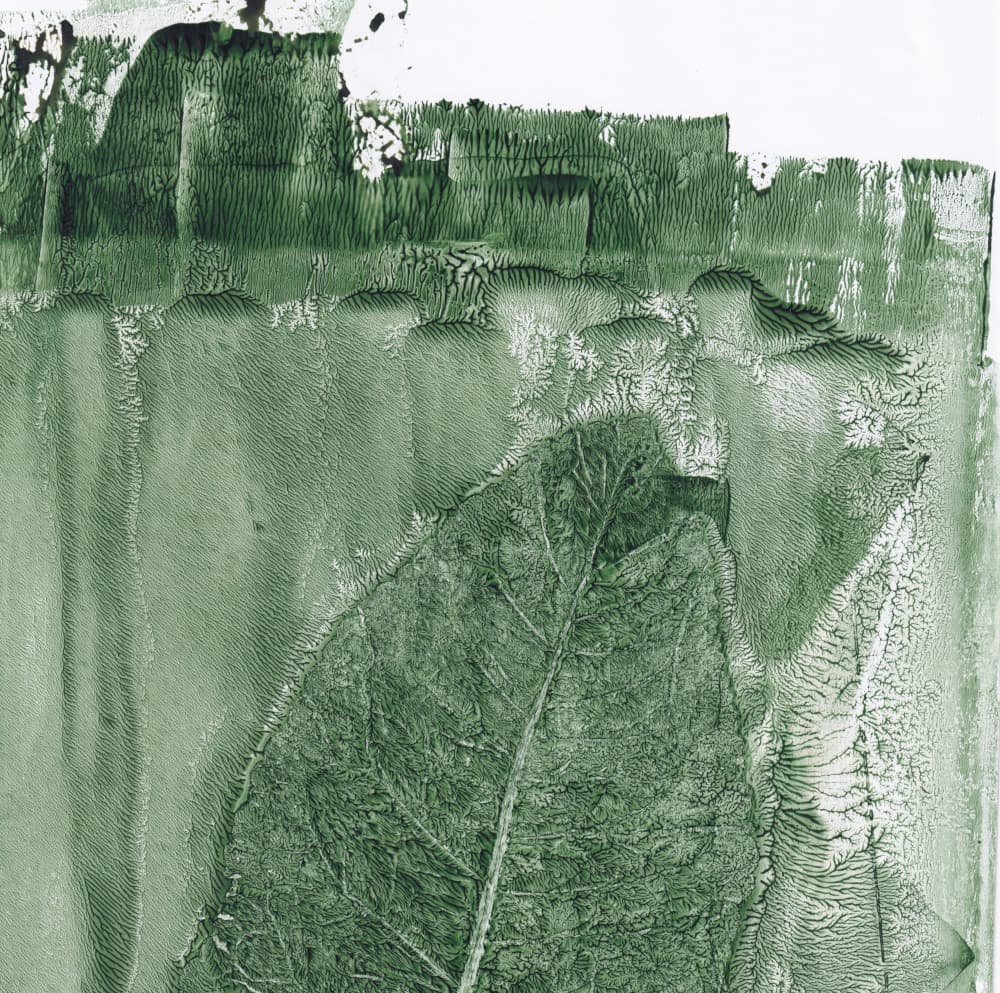 Green Leaf Impression by Maira Ribena — canvas wall art