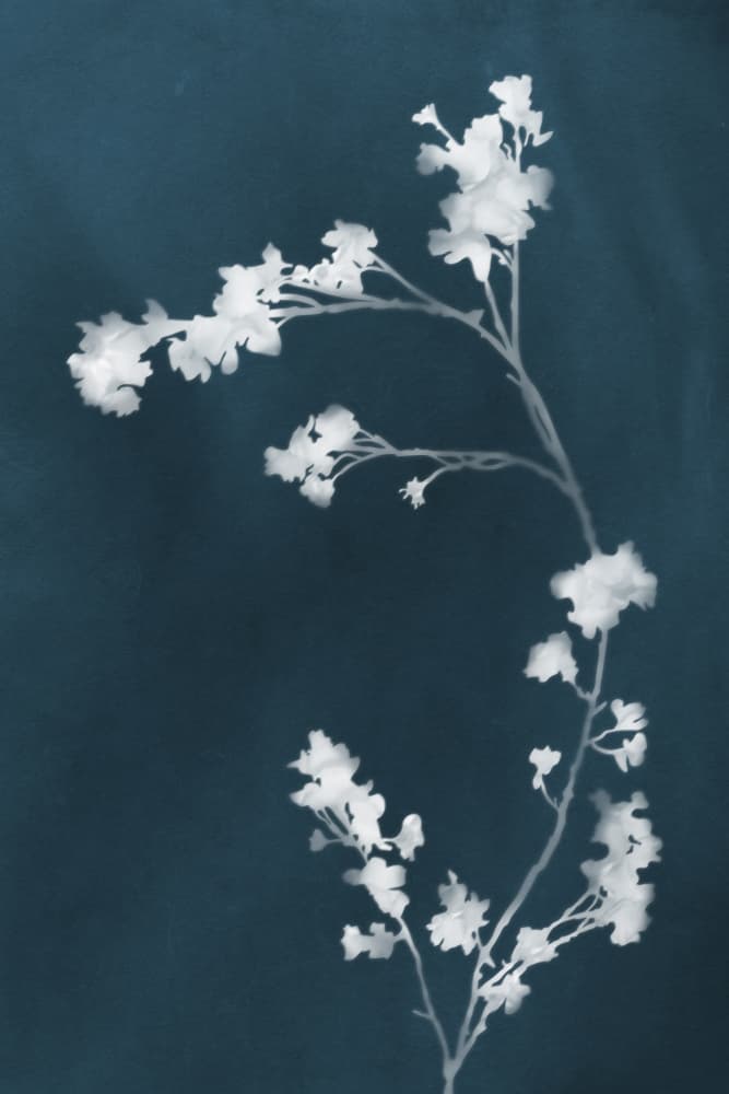 Ethereal White Flowers by amini54 — canvas wall art
