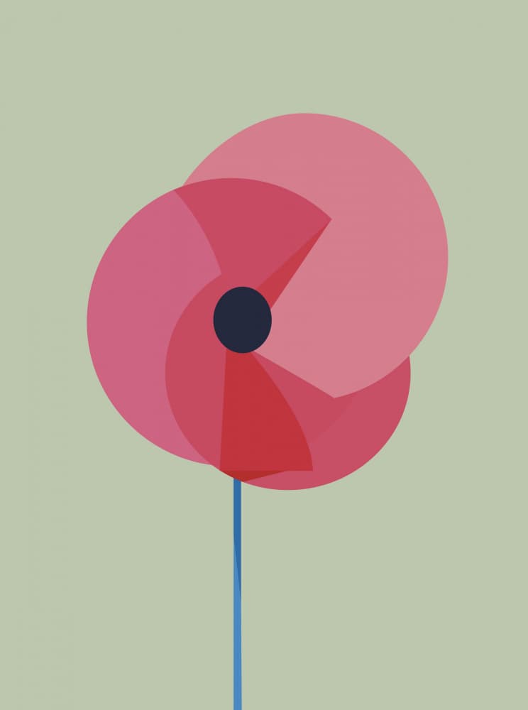 Minimalist Pink Poppy by DARIA IVANOVNA — canvas wall art