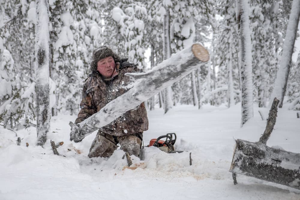 Winter Forest Logger by Marcel Rebro — canvas wall art
