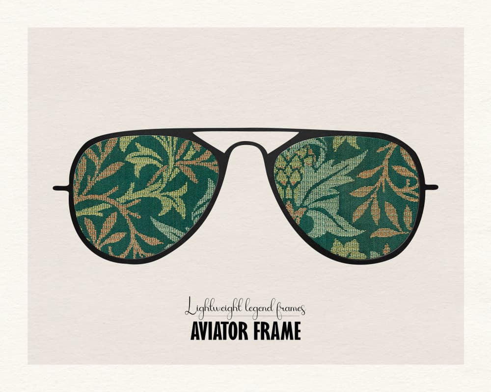 Botanical Aviator Frames by Wild Violets — canvas wall art