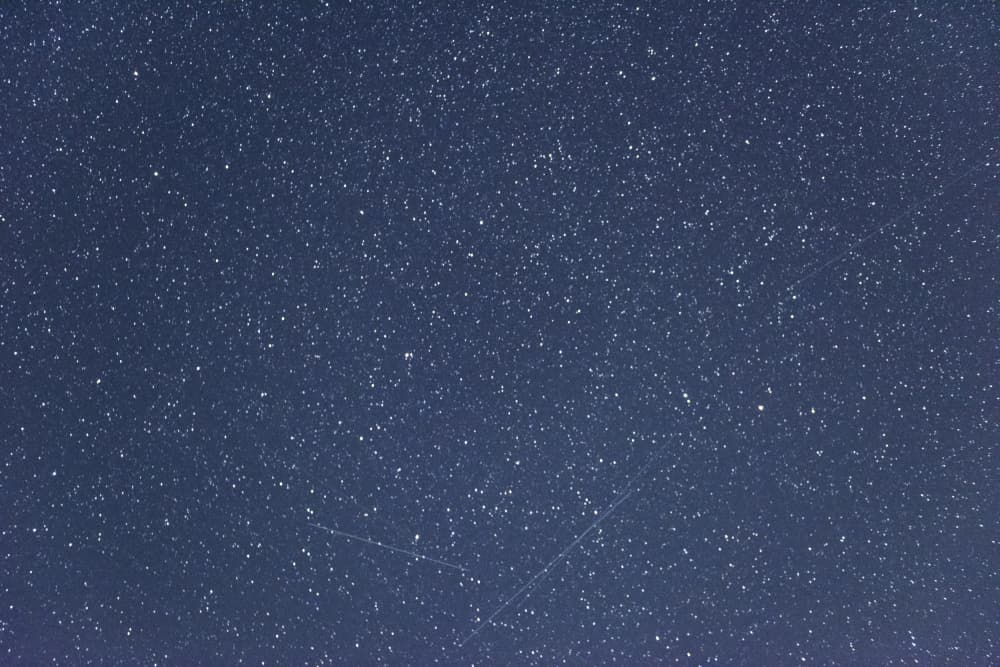 Glimmering Starfield by Lynann Colligan — canvas wall art