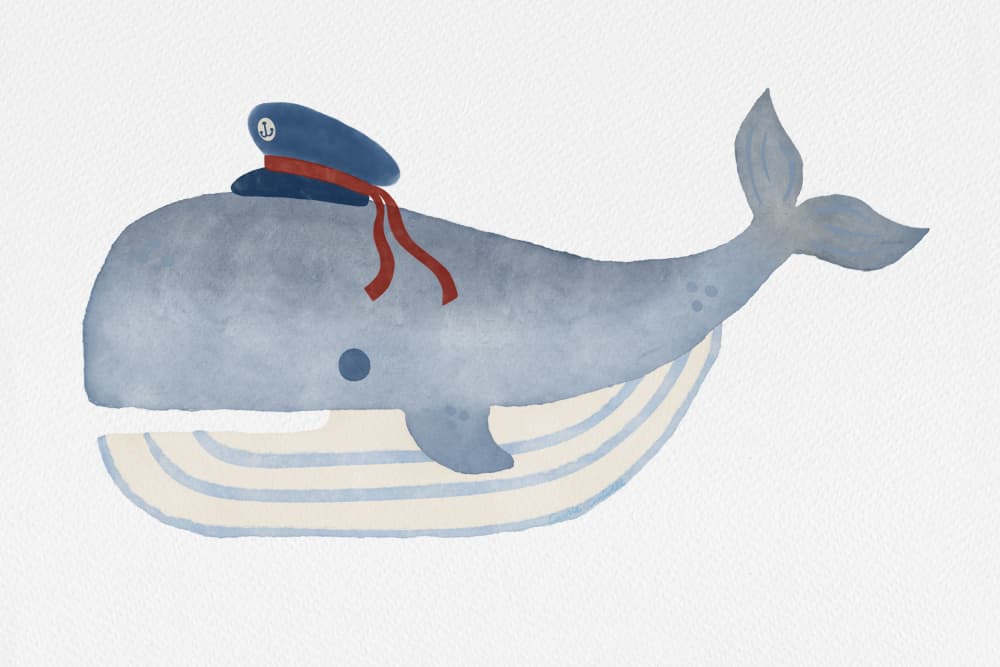 Little Captain Whale by Carrie Cantwell — canvas wall art