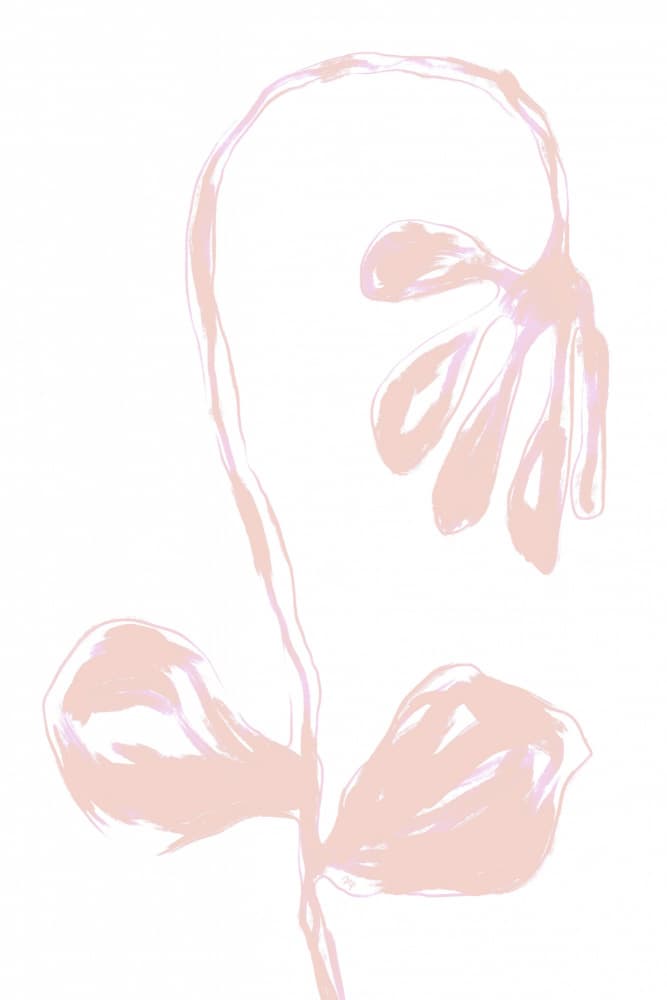 Pale Pink Botanical Bloom by Martina — canvas wall art