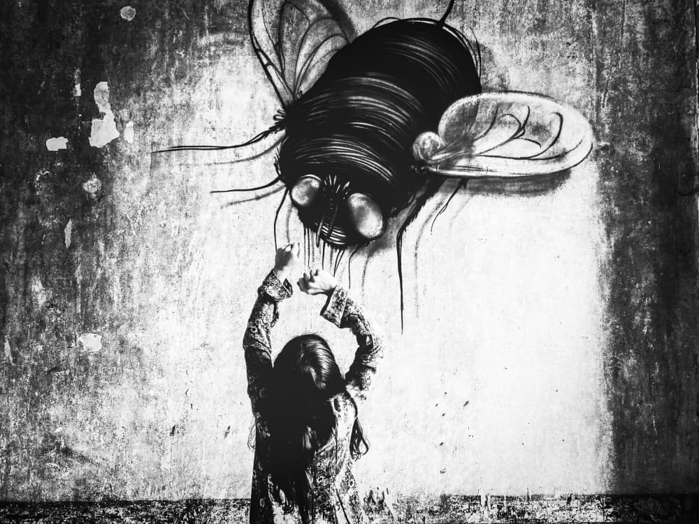 Child and Giant Fly by Delphine Margau — canvas wall art