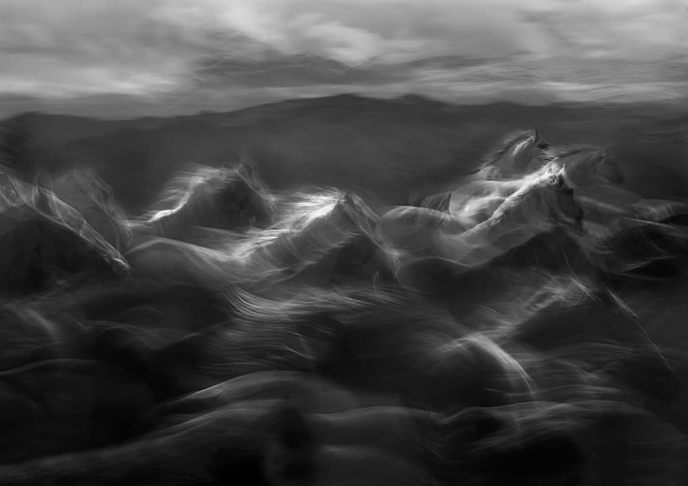 Ethereal White Horses by Milan Malovrh — canvas wall art
