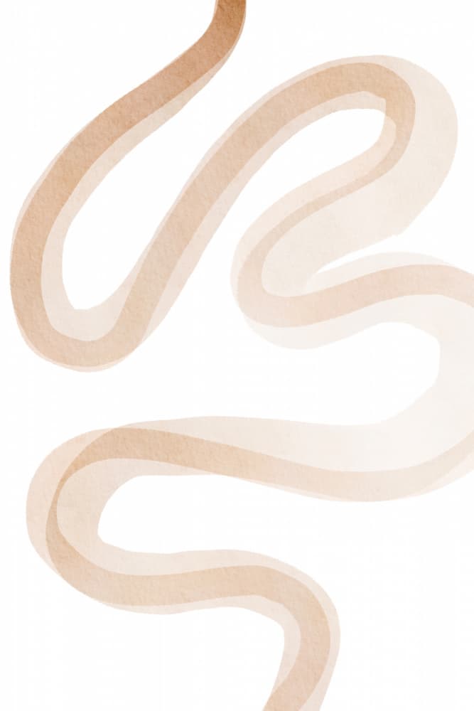 Earthy Abstract Curves by Melloi Art Prints — canvas wall art
