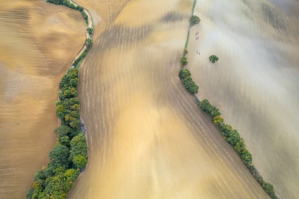 Serene Winding Fields by Ales Komovec — canvas wall art