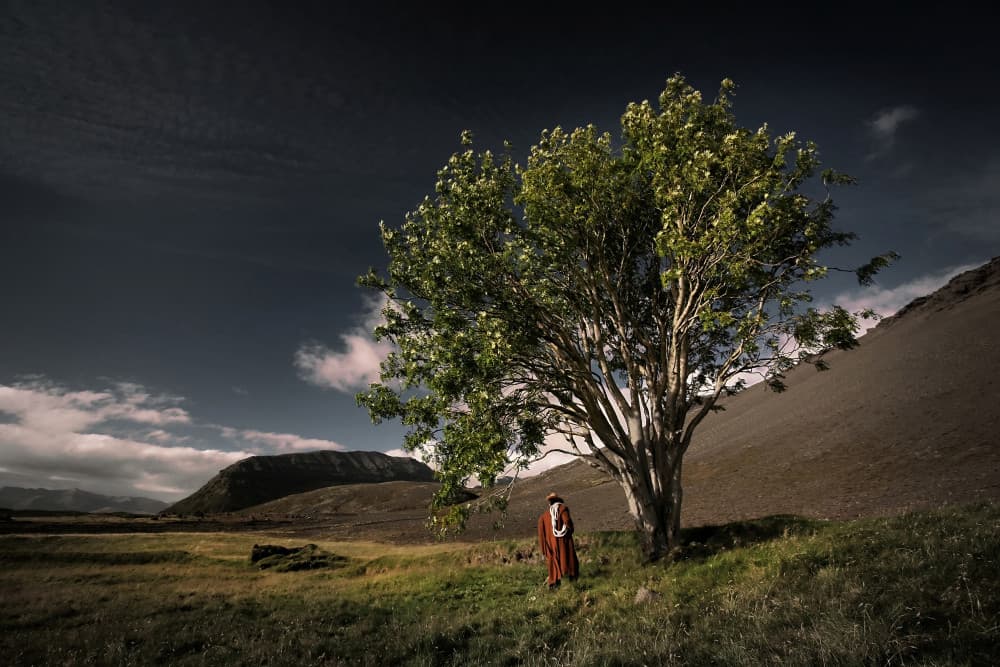 Solitary Figure Under Tree by Þorsteinn H. Ingibergsson — canvas wall art