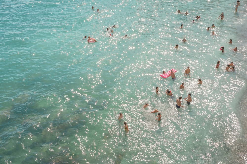 Sparkling Ocean Swimmers by Henrike Schenk — canvas wall art