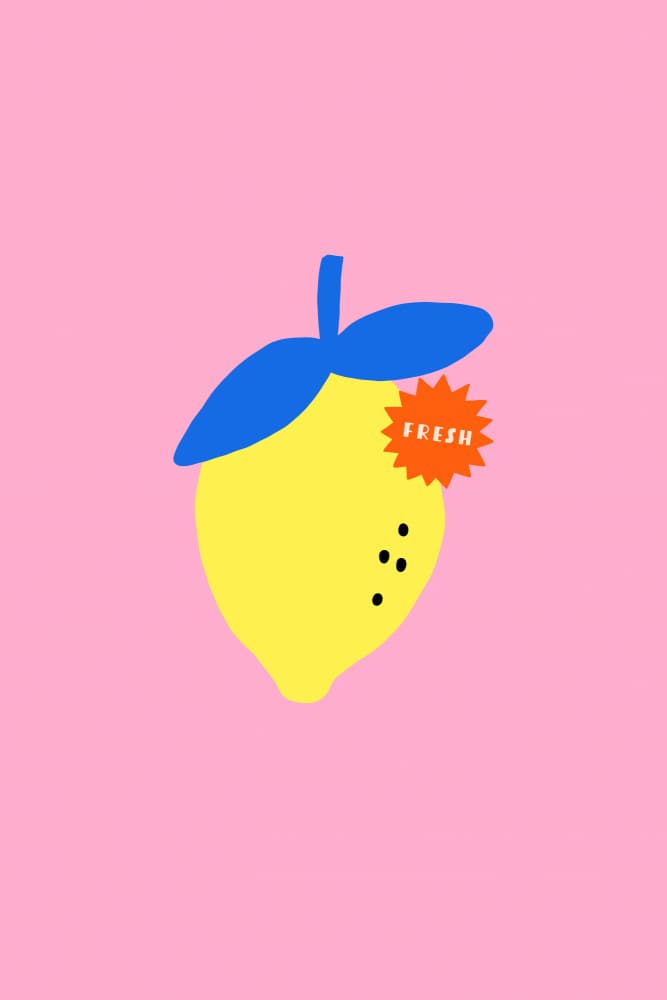 Fresh Pink Lemon by Maren Gross — canvas wall art