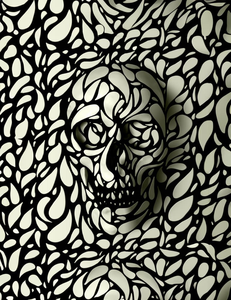 Intricate Skull Illusion by Ali Gulec — canvas wall art