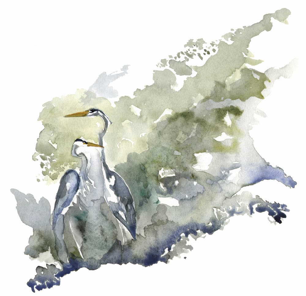 Two Herons Tranquil Pond by RodMacIver — canvas wall art