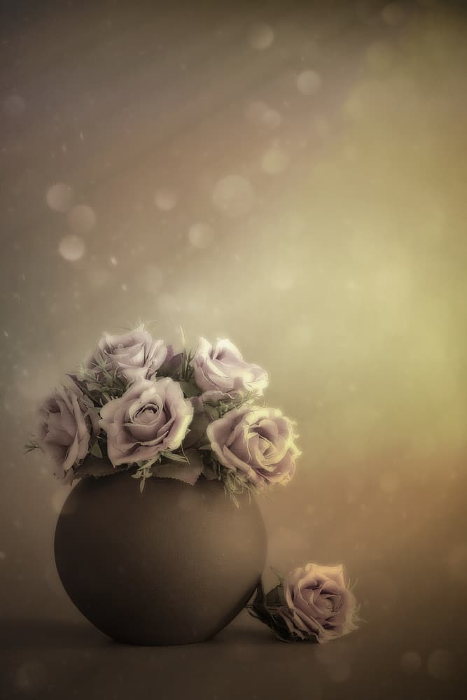 Dreamy Pastel Roses by Cicek Kiral — canvas wall art