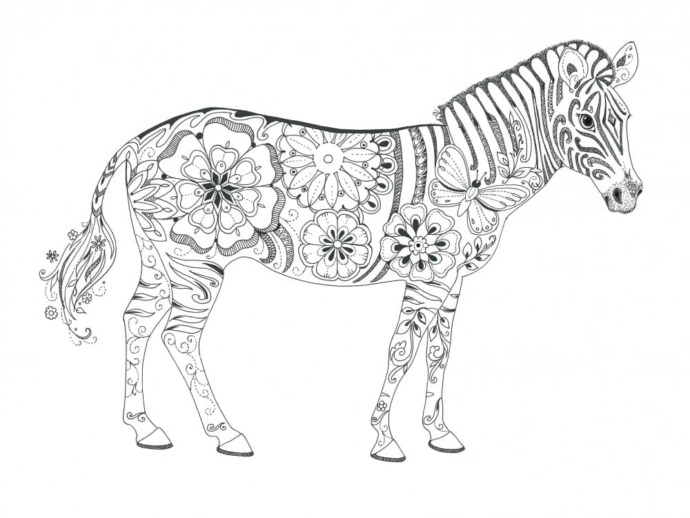 Flowered Zebra by Isabelle Brent — canvas wall art