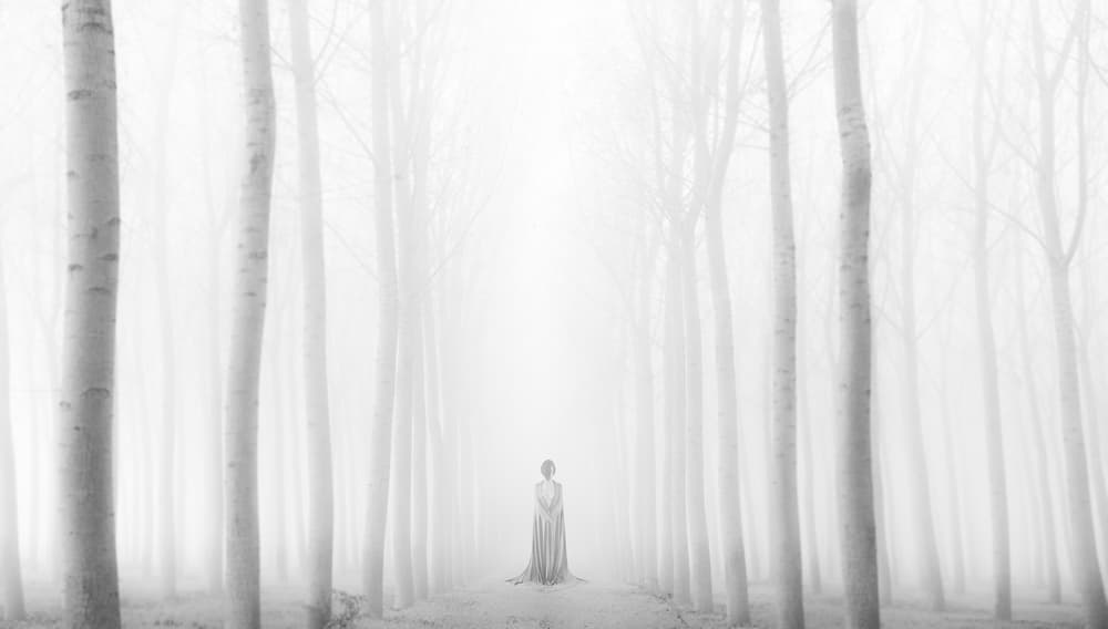 Woman in Misty Forest by Patrick Odorizzi — canvas wall art