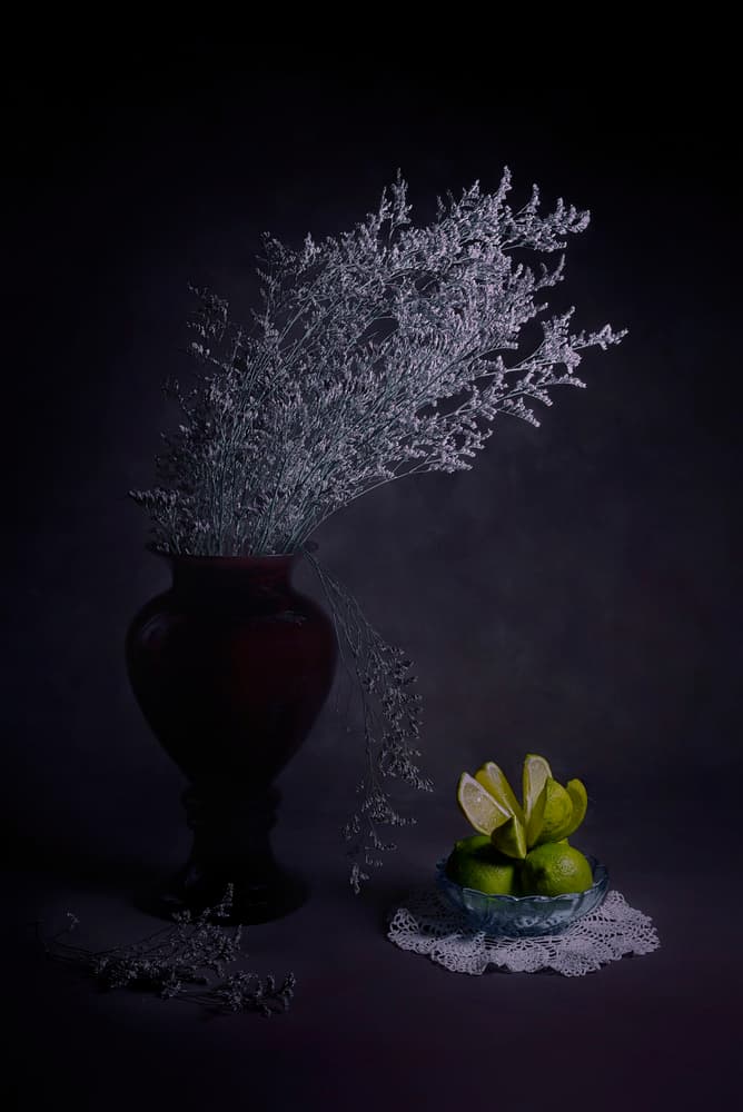 Moody Vase With Limes by Lydia Jacobs — canvas wall art