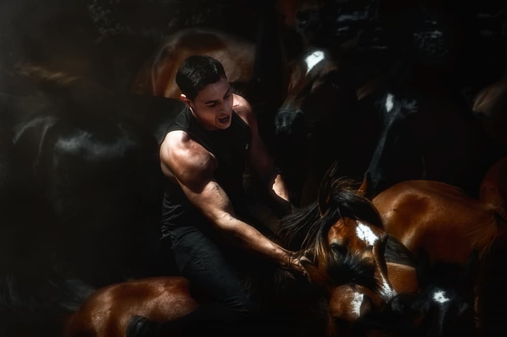 Untamed Horse Power by Santiago Pascual Buye — canvas wall art