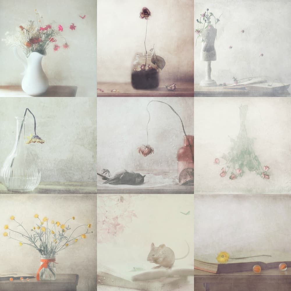 Ephemeral Still Life by Delphine Devos — canvas wall art